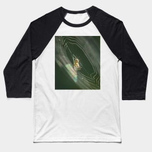 Garden Spider on its Web in the Morning Baseball T-Shirt